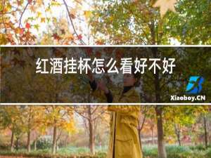 红酒挂杯怎么看好不好
