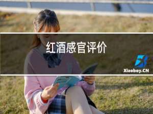 红酒感官评价