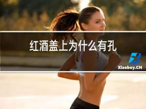 红酒盖上为什么有孔