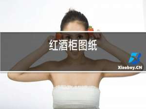 红酒柜图纸