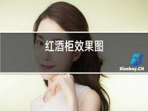 红酒柜效果图