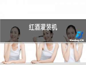 红酒灌装机