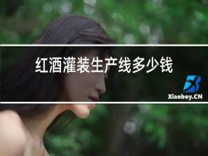 红酒灌装生产线多少钱