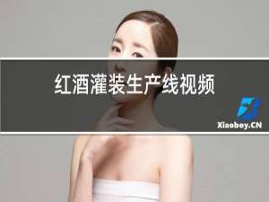 红酒灌装生产线视频