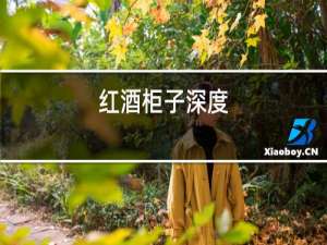 红酒柜子深度