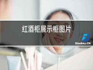 红酒柜展示柜图片
