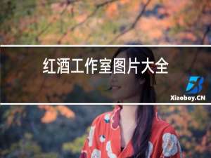 红酒柜装饰图片大全