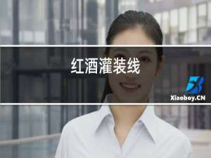 红酒灌装线