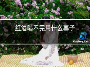 红酒喝不完用什么塞子