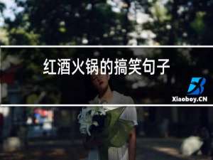 红酒火锅的搞笑句子