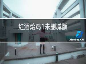 红酒烩鸡1未删减版
