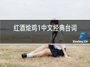 红酒烩鸡1中文经典台词
