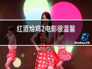 红酒烩鸡2电影很温馨