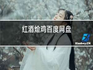 红酒烩鸡百度网盘