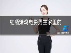 红酒烩鸡电影男主家里的装修