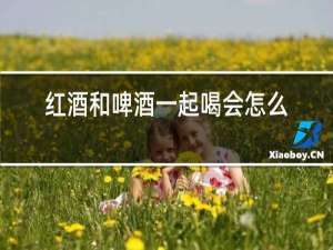 红酒和啤酒一起喝会怎么样