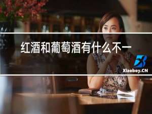 红酒和葡萄酒有什么不一样