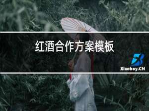 红酒合作方案模板