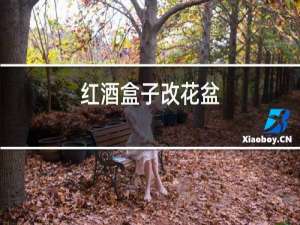 红酒盒子改花盆