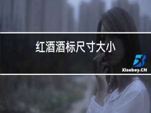 红酒酒标尺寸大小