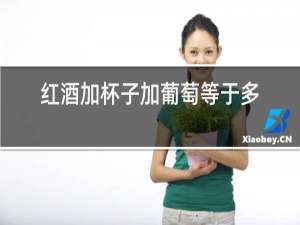 红酒加杯子加葡萄等于多少