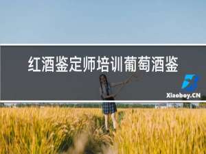 红酒鉴定师培训葡萄酒鉴定师等级