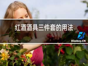 红酒酒具三件套的用法