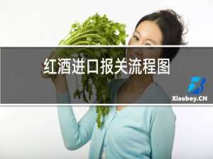 红酒进口报关流程图