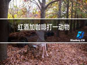 红酒加咖啡打一动物