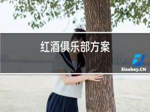 红酒俱乐部方案