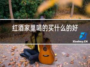 红酒家里喝的买什么的好