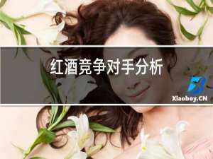 红酒竞争对手分析