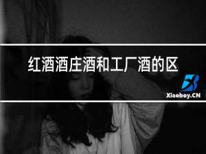 红酒酒庄酒和工厂酒的区别