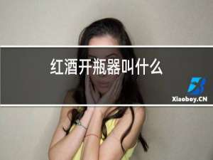 红酒开瓶器叫什么