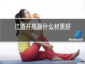 红酒开瓶器什么材质好