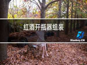 红酒开瓶器组装