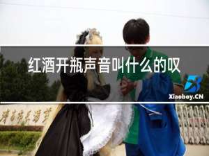 红酒开瓶声音叫什么的叹息