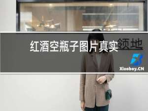 红酒空瓶子图片真实