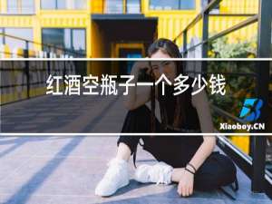 红酒空瓶子一个多少钱