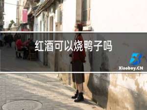 红酒可以烧鸭子吗