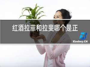红酒拉菲和拉斐哪个是正品
