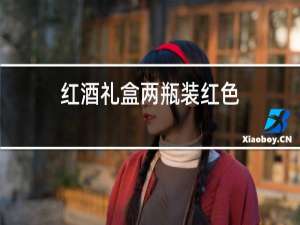 红酒礼盒两瓶装红色