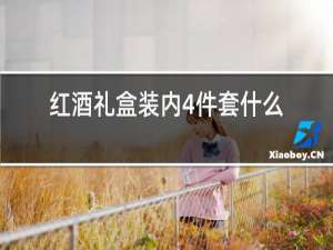 红酒礼盒装内4件套什么用途