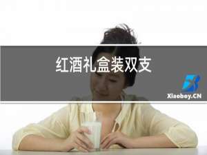 红酒礼盒装双支