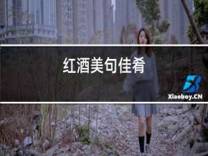 红酒美句佳肴