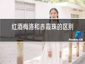 红酒梅洛和赤霞珠的区别