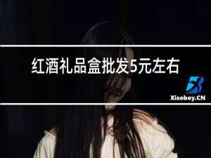 红酒礼品盒批发5元左右