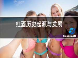 红酒历史起源与发展