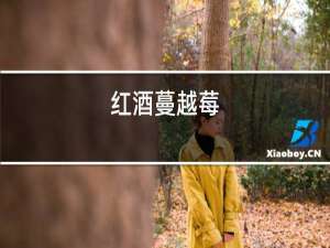 红酒蔓越莓