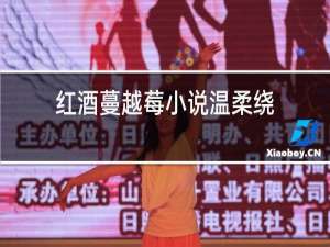 红酒蔓越莓小说温柔绕